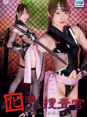 SPSA-79 Undercover Decoy Agent: Sexy Ninja Princess Karin poster